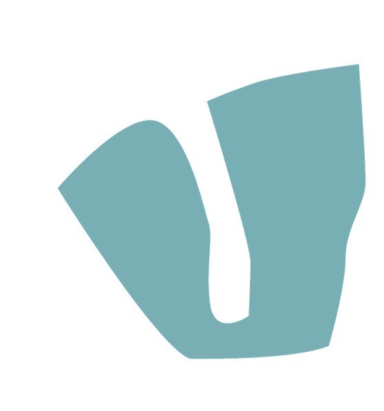 Shape