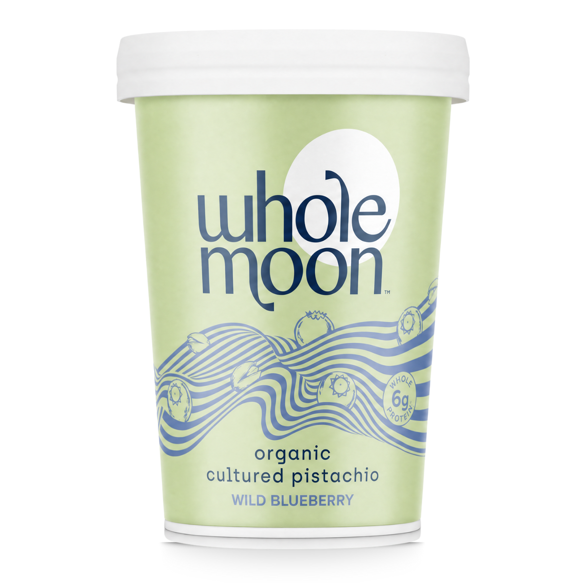 Wild Blueberry Plant Yogurt